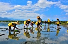 Sustainable Manufacturing Advancements Article Thumbnail