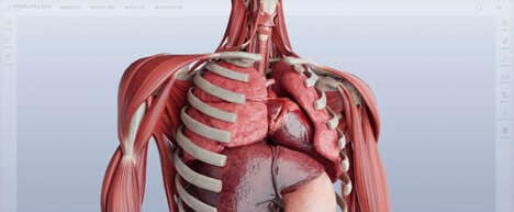 3D Anatomy Atlas