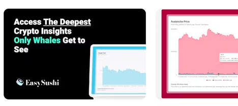 Crypto Market Insights