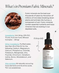 Nutrient Absorption-Enhancing Supplements Image 1