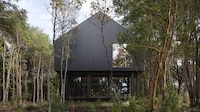 Immersive Forest-Surrounded Homes Image 4