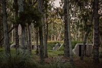 Tranquil Argentinian Forest Retreats Image 1