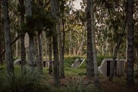 Tranquil Argentinian Forest Retreats