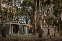 Tranquil Argentinian Forest Retreats Image 2