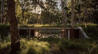 Tranquil Argentinian Forest Retreats Image 4