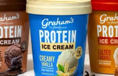 All-Natural Protein Ice Creams