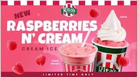 Fruity Italian Ice Desserts Image 1