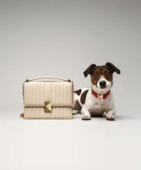 Pop Star-Approved Valentine's Campaigns Image 2