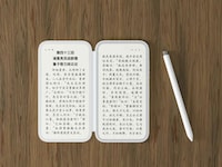 Book-Like Dual-Screen eReaders Image 6