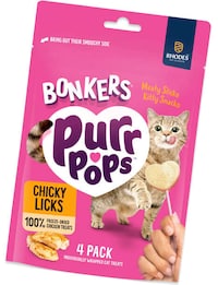 Pet-Friendly Meat Pops Image 1