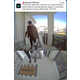 AI-Powered Video Camera Alerts Image 2