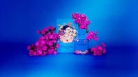 Mexican-Painter-Inspired Fragrances Image 1