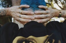 Intriguing Denim Collabs