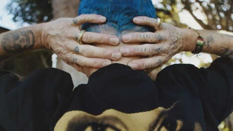 Intriguing Denim Collabs
