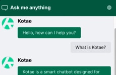 AI Chatbot Solutions