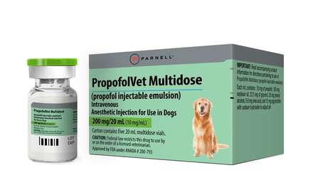 Versatile Dog Anesthetics