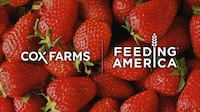 Food Insecurity-Fighting Partnerships Image 1