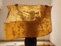 Kombucha By-Product-Formed Leathers Image 2