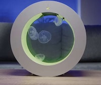 Modern Desk-Friendly Jellyfish Tanks Image 1
