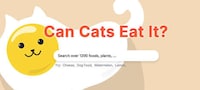 Cat Safety Checkers