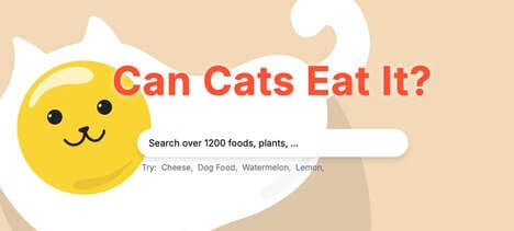 Cat Safety Checkers
