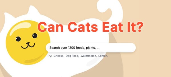 Cat Safety Checkers