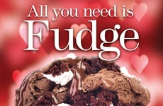 Fudge-Rich Ice Creams