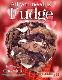 Fudge-Rich Ice Creams Image 1