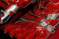 Lunar New Year Footwear Image 3