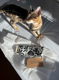 Relaxation-Promoting Eye Pillows Image 3