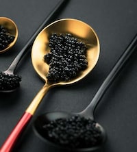 Cost-Effective Cultivated Caviars Image 1