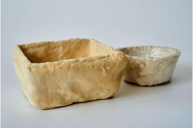 Fungal Mycelium-Based Packaging Article Thubnail
