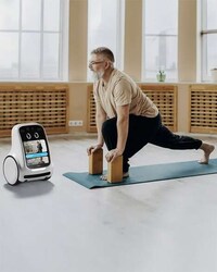 Companion Care Robots