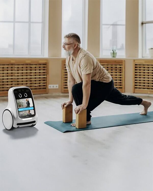 Companion Care Robots