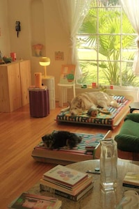 Dynamic Patterned Pet Beds Image 2