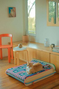 Dynamic Patterned Pet Beds Image 3