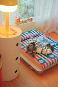 Dynamic Patterned Pet Beds Image 4