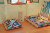 Dynamic Patterned Pet Beds Image 5