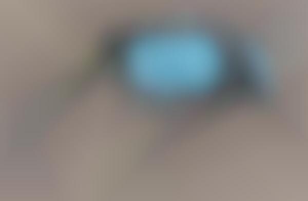 Cutting-Edge Auto-Branded Eyewear