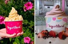 Romance-Themed Frozen Yogurts