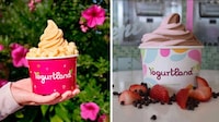 Romance-Themed Frozen Yogurts Image 1