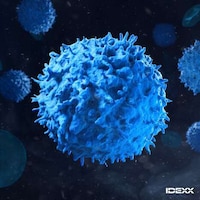 First-Of-Its-Kind Pet Diagnostic Panels Image 1