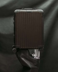 Chic Statuesque Suitcases Image 3
