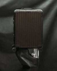 Luxury Suitcase Collabs Image 2