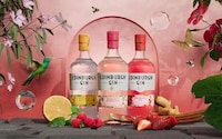 Alcohol Brand Rebrands Image 3