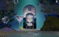 Alcohol Brand Rebrands Image 4