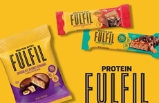 Chocolatey Protein Snacks