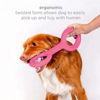 Aesthetic-Driven Dog Toys Image 6
