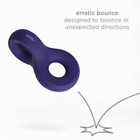 Aesthetic-Driven Dog Toys Image 8