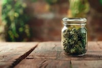 Emerging German Cannabis Cultivators